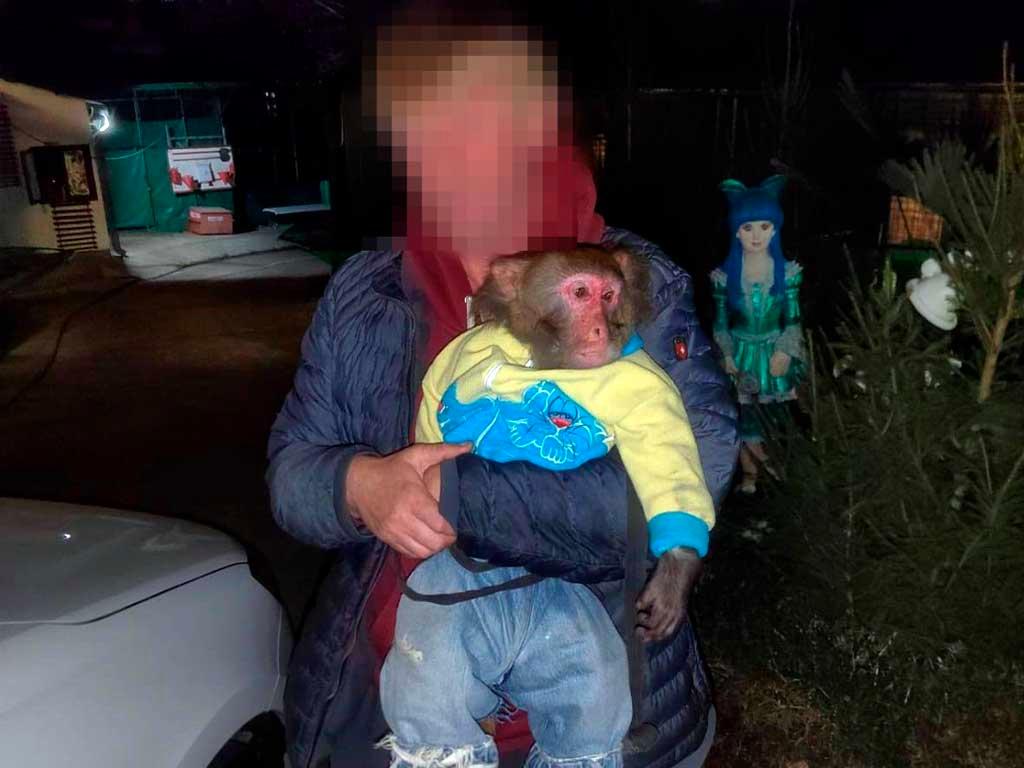 Сочи усилит запрет на содержание диких животных