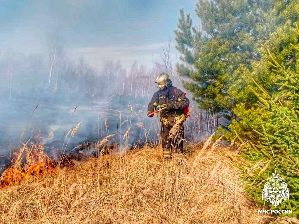 В лесах Краснодарского края введены временные ограничения