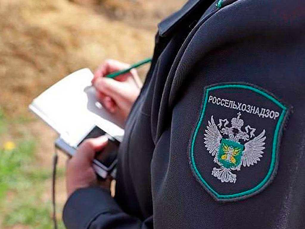 В Адыгее обнаружены зоны распространения опасного сорняка