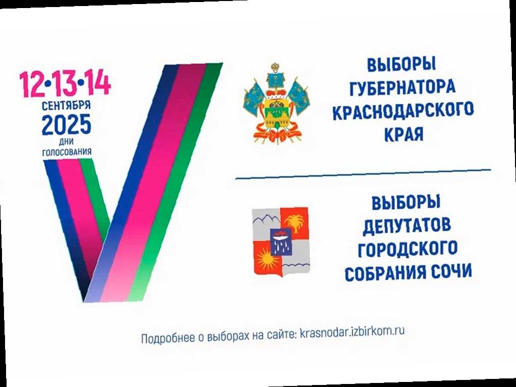 На выборах 2025 года в Сочи можно будет проголосовать по месту пребывания