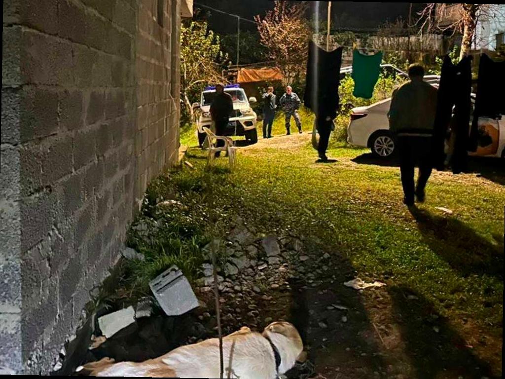 Алабай едва не нанес серьезные травмы двоим детям в Сочи