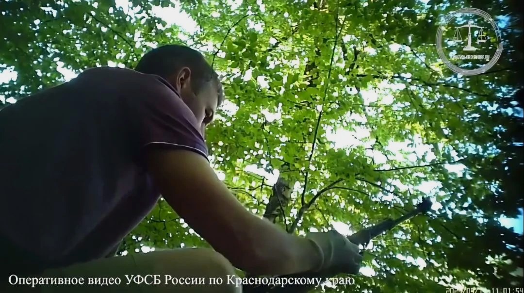 Приговор по делу о незаконном хранении и сбыте оружия в Сочи