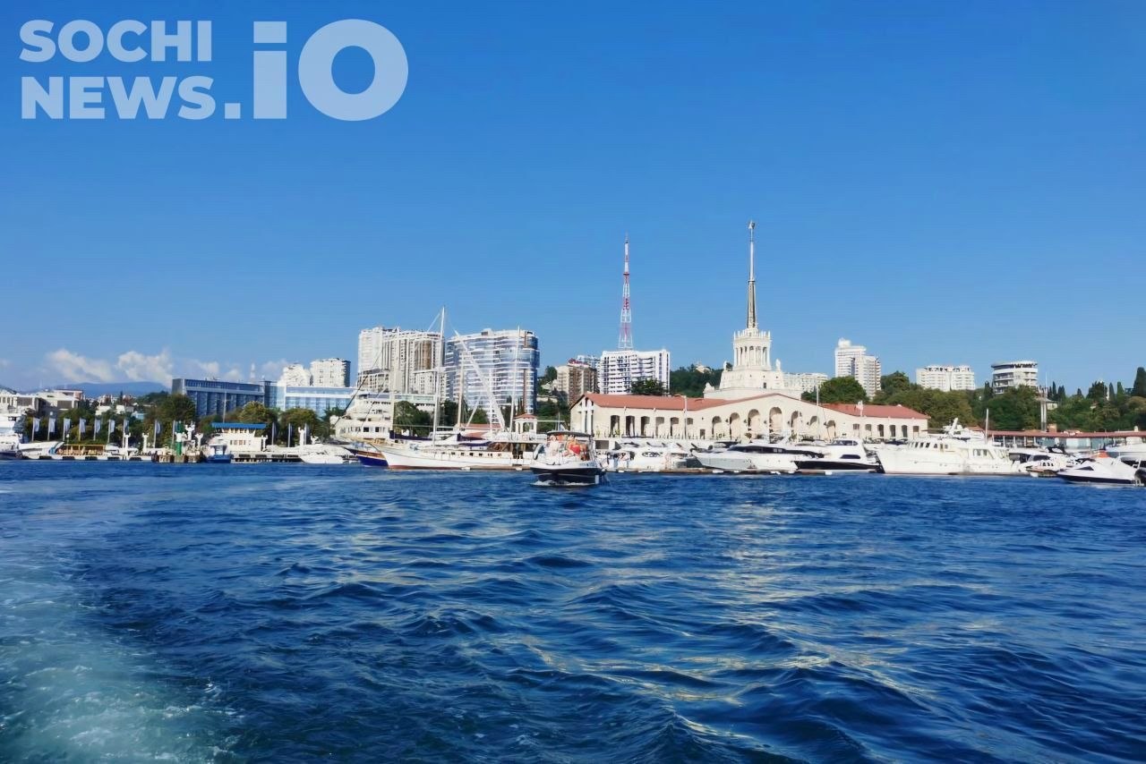 Экологи заверяют: экология Сочи стабильна и безопасна для туристов