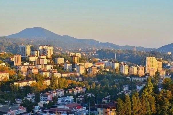 Контроль за несанкционированной торговлей в Сочи приносит доходы